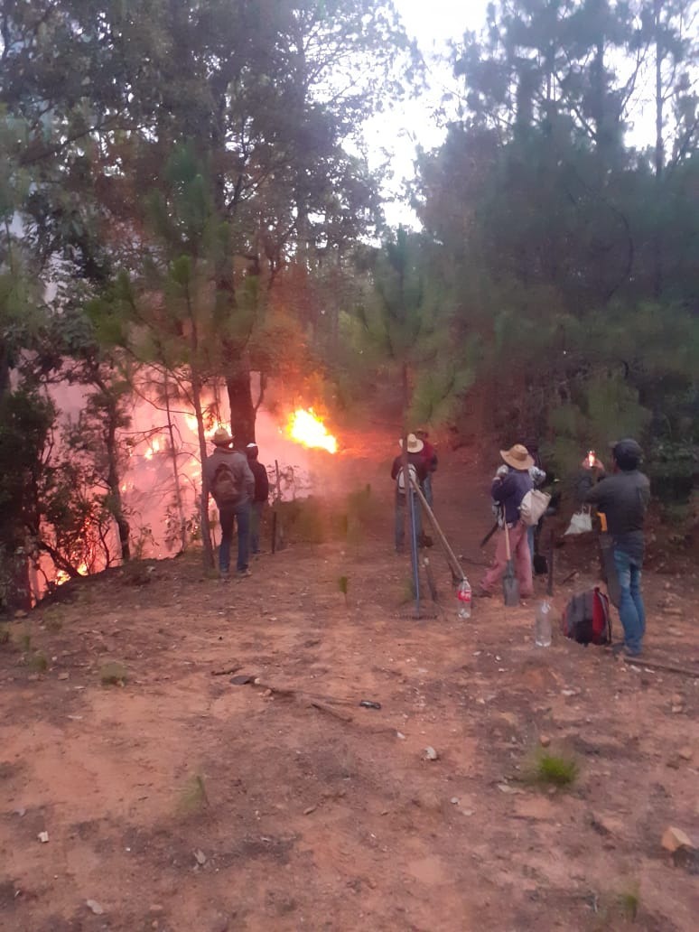 Oaxaca Ind Genas Chontales Desesperan Mil Hect Reas Son Arrasadas