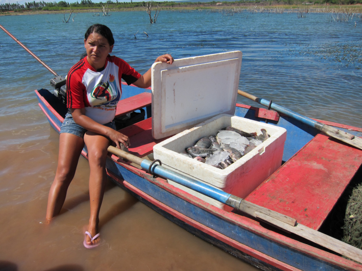 Cercamento Das águas Brasileiras Ameaça Pesca Artesanal Avispa Midia