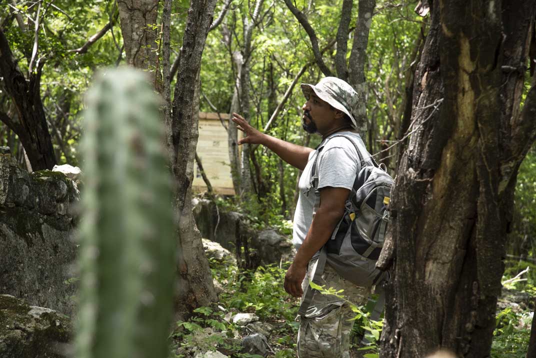 Cerro La Garza: área protegida