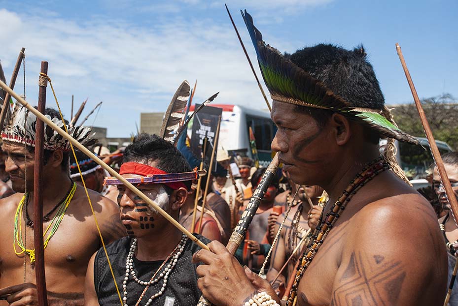 Avispa Midia-Brasilia2015