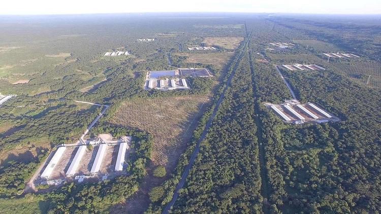 Denuncian penalmente a ocho opositores a granja porcícola en Yucatán
