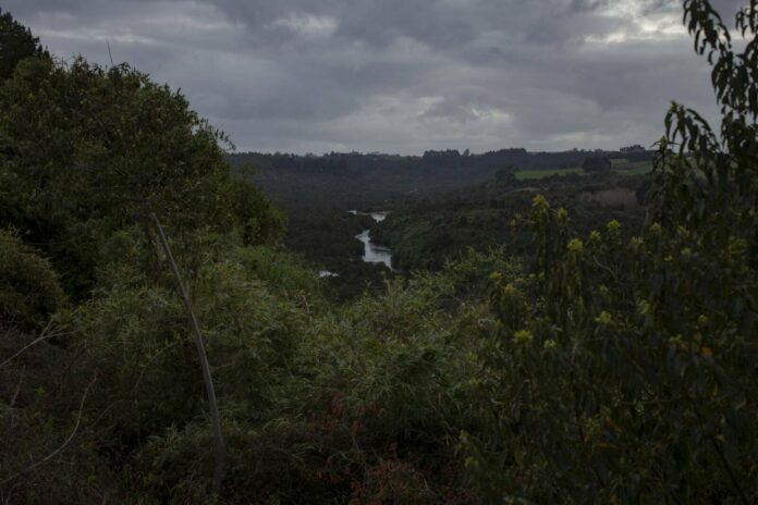 Chile indígenas huilliche defienden río Maullín ante extractivismo