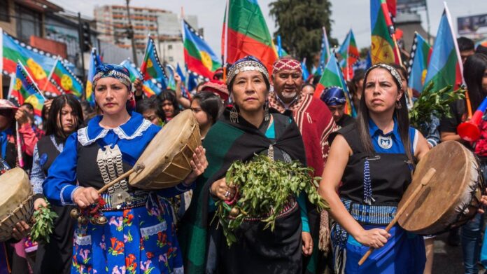 Mapuche Constituyente