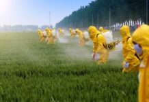 Lucrando con veneno, el comercio de agrotóxicos europeos en Brasil