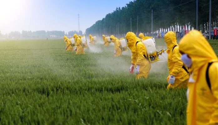 Congreso de Brasil libera uso de agrotoxicos