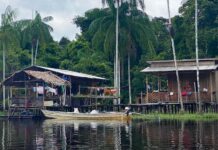 Comunidades de la Amazonía brasileña denuncian violaciones por proyecto de venta de carbono