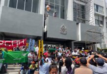 Organizaciones libran batalla contra nueva ley que protege sector agroindustrial en Honduras