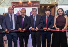 Sector minero exige más flexibilización en nombre de la “transición energética”