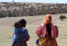 Desplazamiento forzado en la Sierra Rarámuri crece a un ritmo acelerado y alarmante: Misión Civil de Observación
